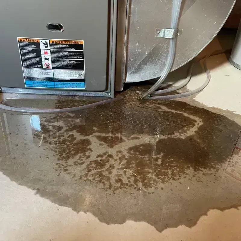 Appliance Leak Cleanup in Gower, MO